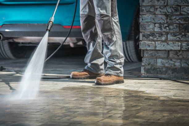 Best Graffiti Removal  in Palmview, TX