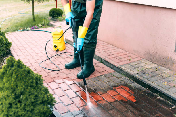Best Fence Cleaning  in Palmview, TX